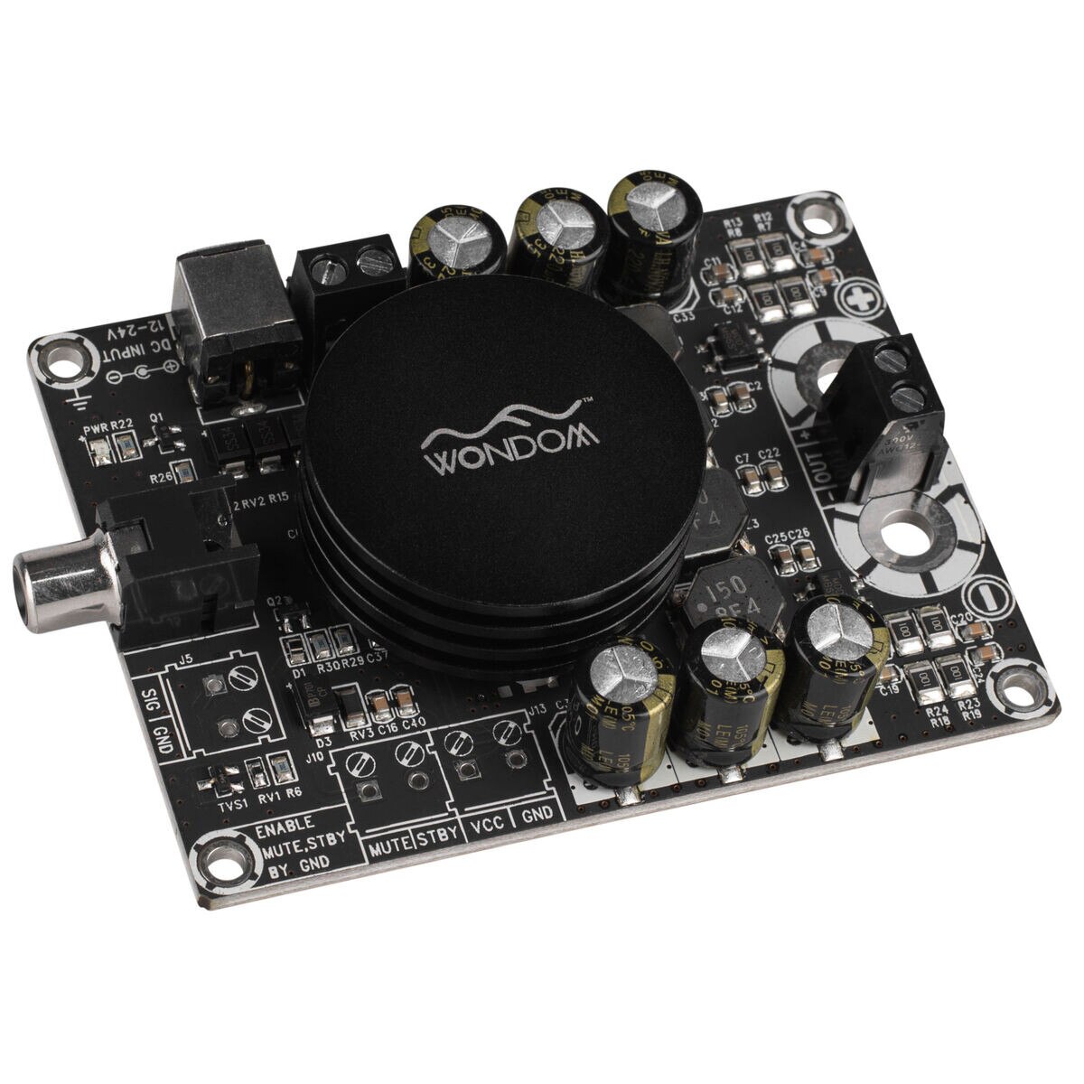 WONDOM AAAB31184 100W Mono Amp Board